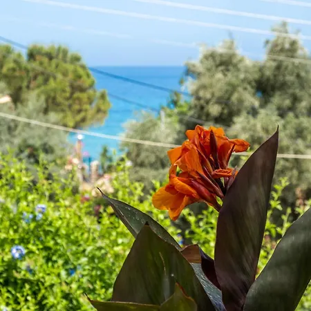 شقة Theasea House Áyios Nikítas