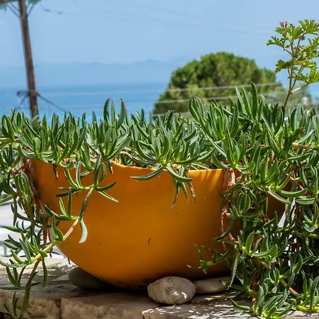 Theasea House Apartment Agios Nikitas